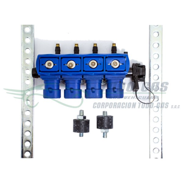 Riel de inyectores OMVL DEEAM XXI N1707682