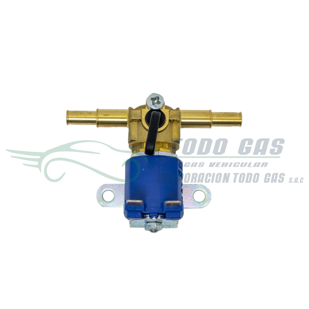 Valtek-Electroválvula-de-gasolina